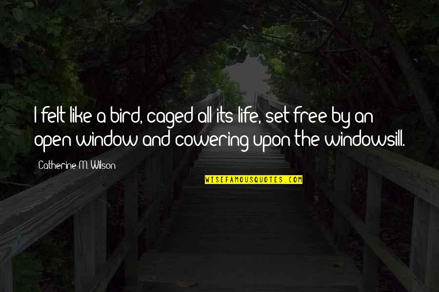 Aisha Hadith Quotes By Catherine M. Wilson: I felt like a bird, caged all its