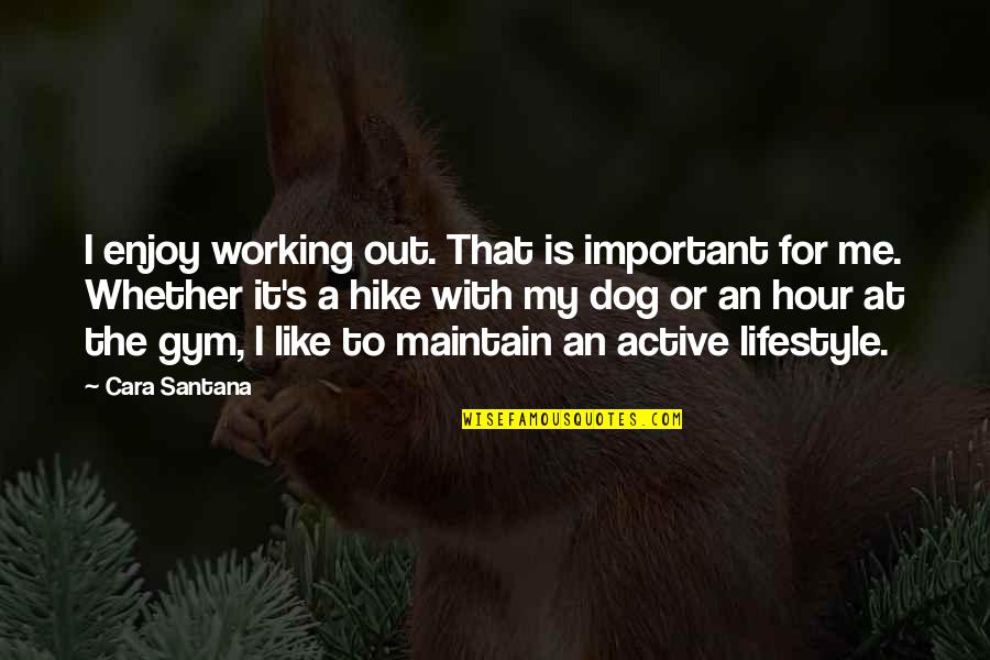 Aishat Ojikutu Quotes By Cara Santana: I enjoy working out. That is important for Aishat Ojikutu Quotes By Cara Santana: I enjoy working out. That is important for