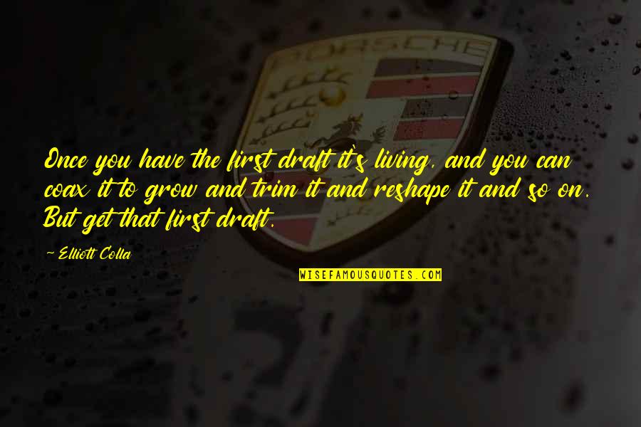 Aitan Quotes By Elliott Colla: Once you have the first draft it's living,