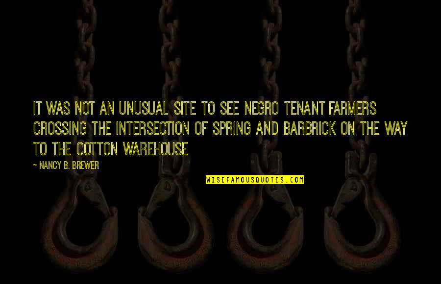 Aixa Serapion Quotes By Nancy B. Brewer: It was not an unusual site to see