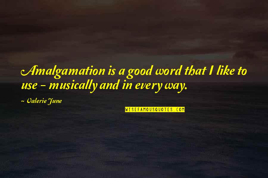 Aizian Quotes By Valerie June: Amalgamation is a good word that I like