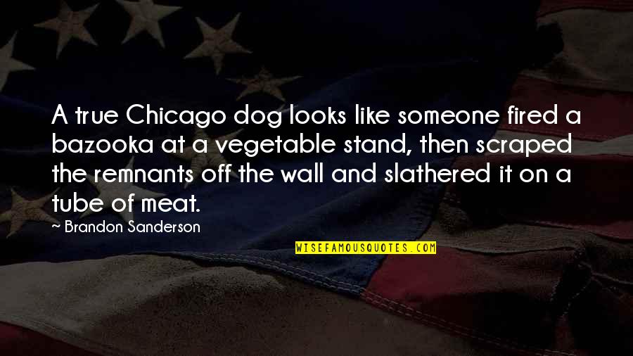 Aizians Quotes By Brandon Sanderson: A true Chicago dog looks like someone fired