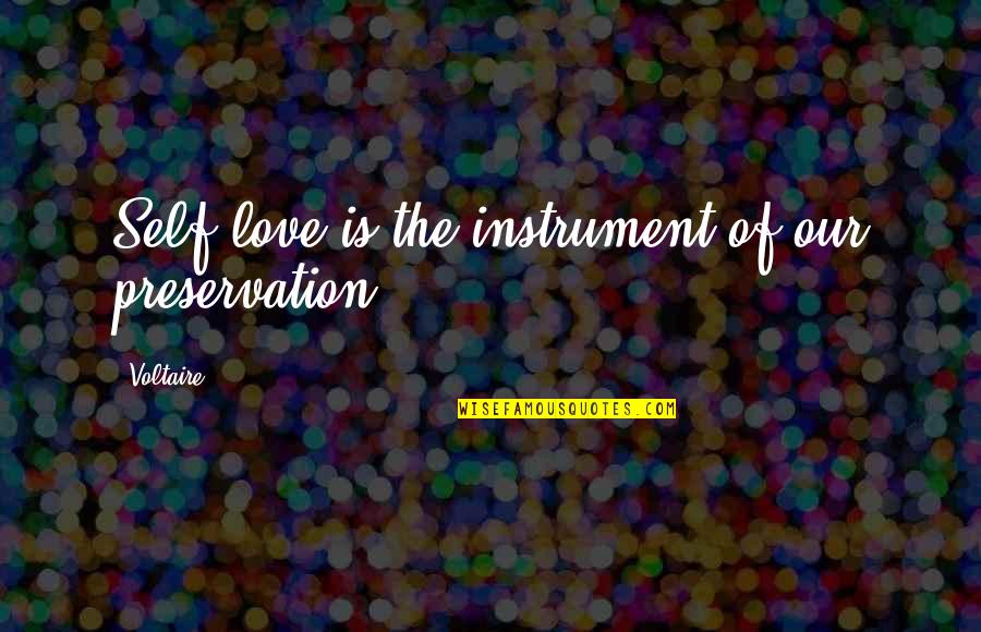 Aj Allmendinger Quotes By Voltaire: Self love is the instrument of our preservation.