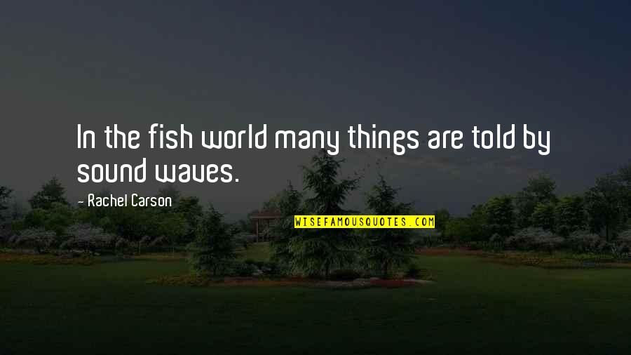 Aj Van Quotes By Rachel Carson: In the fish world many things are told