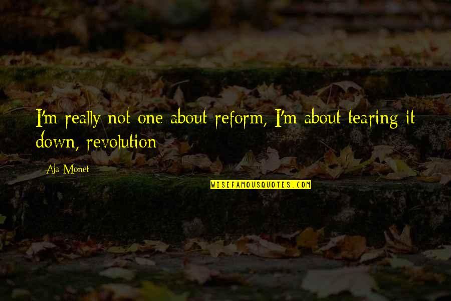 Aja Monet Quotes By Aja Monet: I'm really not one about reform, I'm about