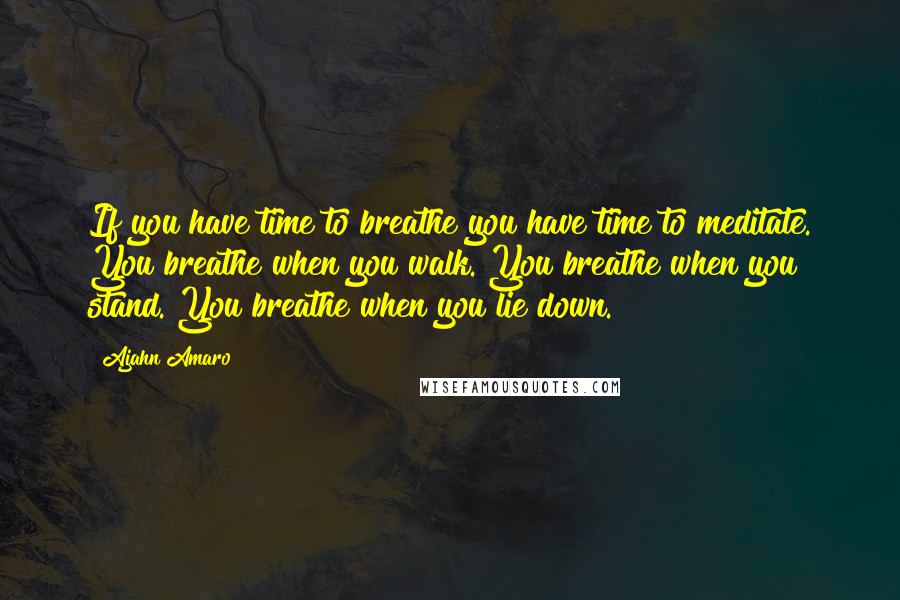 Ajahn Amaro quotes: If you have time to breathe you have time to meditate. You breathe when you walk. You breathe when you stand. You breathe when you lie down.