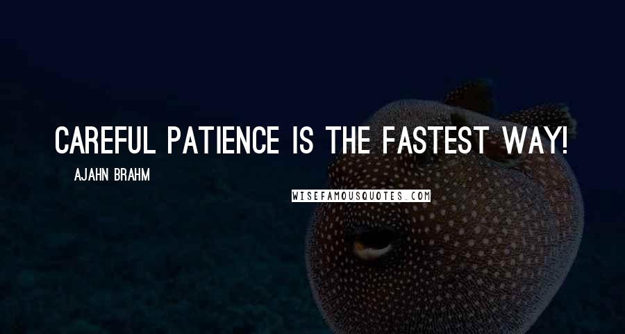 Ajahn Brahm quotes: Careful patience is the fastest way!
