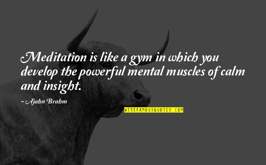 Ajahn Brahm Quotes By Ajahn Brahm: Meditation is like a gym in which you