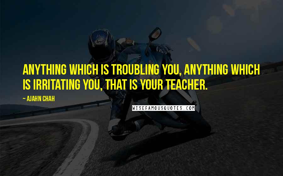 Ajahn Chah quotes: Anything which is troubling you, anything which is irritating you, THAT is your teacher.