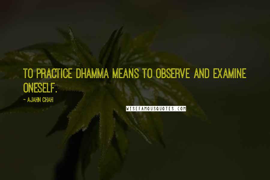 Ajahn Chah quotes: To practice Dhamma means to observe and examine oneself.