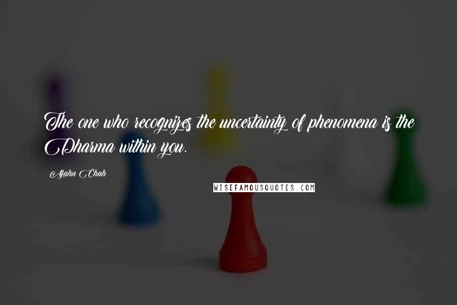 Ajahn Chah quotes: The one who recognizes the uncertainty of phenomena is the Dharma within you.