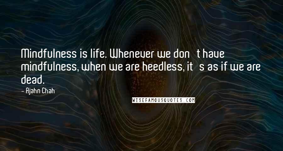 Ajahn Chah quotes: Mindfulness is life. Whenever we don't have mindfulness, when we are heedless, it's as if we are dead.