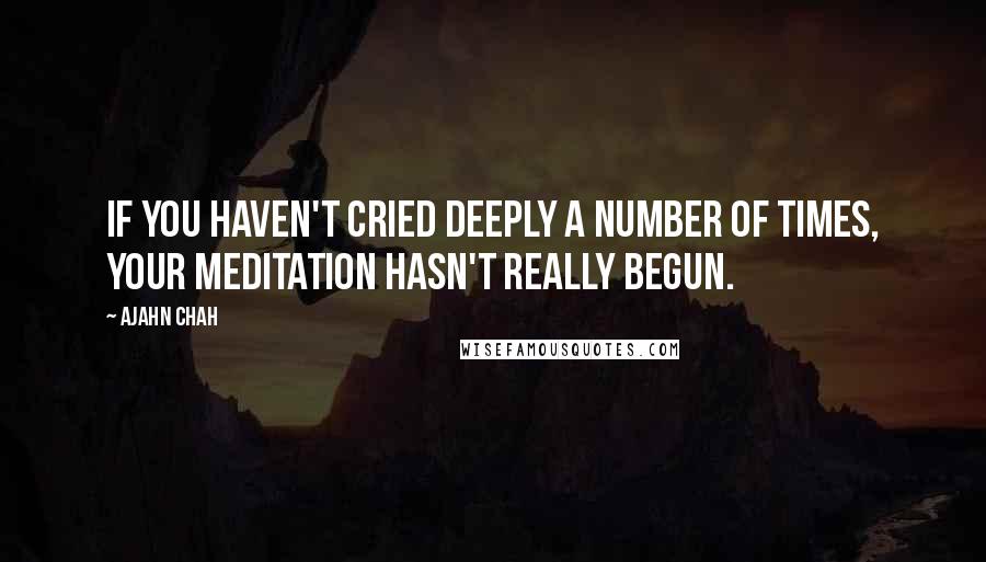 Ajahn Chah quotes: If you haven't cried deeply a number of times, your meditation hasn't really begun.