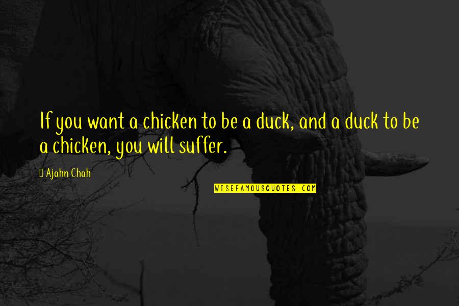 Ajahn Quotes By Ajahn Chah: If you want a chicken to be a