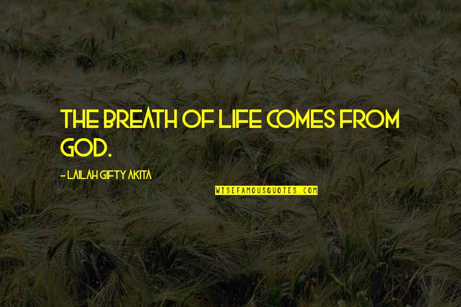 Ajam Quotes By Lailah Gifty Akita: The breath of life comes from God.