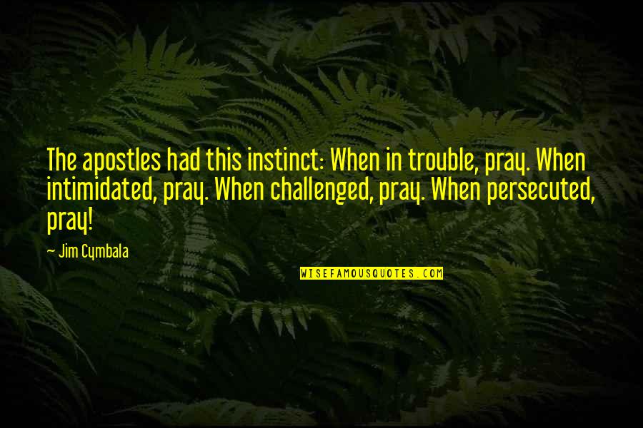 Ajami Quotes By Jim Cymbala: The apostles had this instinct: When in trouble,