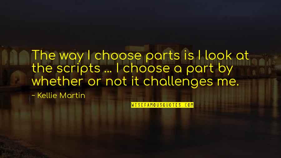 Ajani Mentor Quotes By Kellie Martin: The way I choose parts is I look