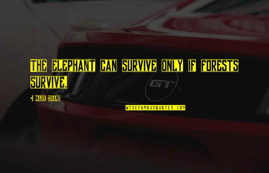 Ajos Tiernos Quotes By Mark Shand: The elephant can survive only if forests survive. Ajos Tiernos Quotes By Mark Shand: The elephant can survive only if forests survive.