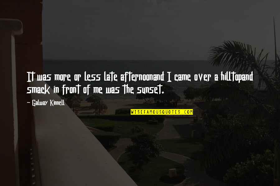 Ajudaris Quotes By Galway Kinnell: It was more or less late afternoonand I Ajudaris Quotes By Galway Kinnell: It was more or less late afternoonand I