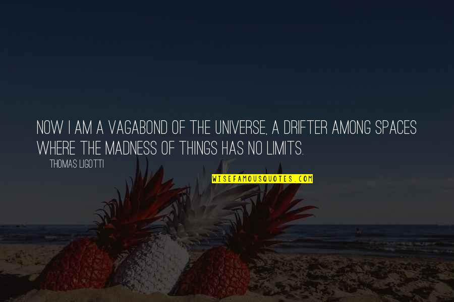 Ajusto Equipment Quotes By Thomas Ligotti: Now I am a vagabond of the universe, Ajusto Equipment Quotes By Thomas Ligotti: Now I am a vagabond of the universe,