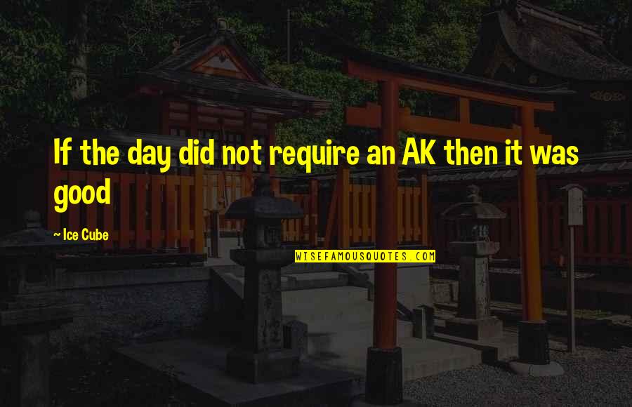 Ak C Quotes By Ice Cube: If the day did not require an AK