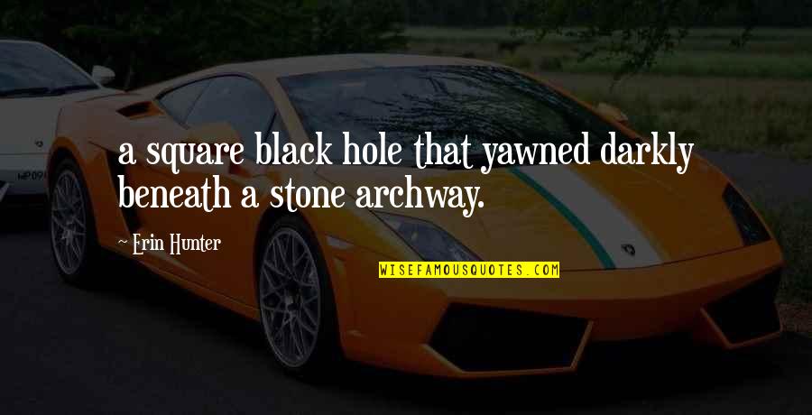 Ak Steel Stock Quote Quotes By Erin Hunter: a square black hole that yawned darkly beneath
