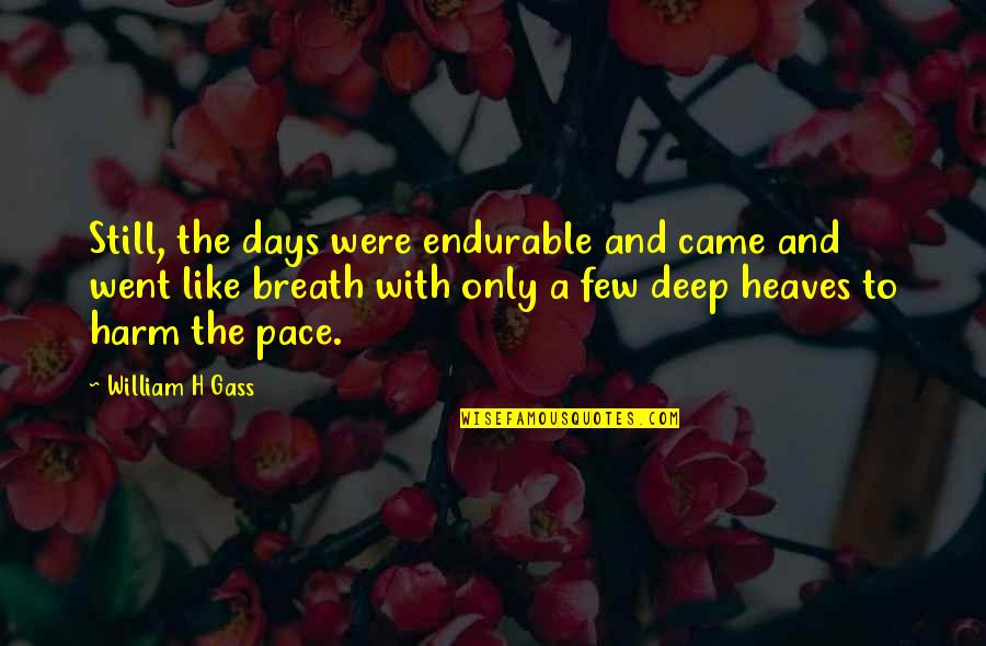 Akakios Quotes By William H Gass: Still, the days were endurable and came and Akakios Quotes By William H Gass: Still, the days were endurable and came and