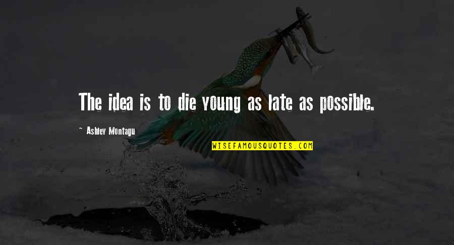 Akarnania Quotes By Ashley Montagu: The idea is to die young as late Akarnania Quotes By Ashley Montagu: The idea is to die young as late