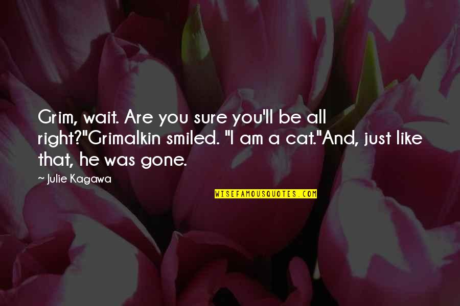 Akarsuyun Debi Quotes By Julie Kagawa: Grim, wait. Are you sure you'll be all