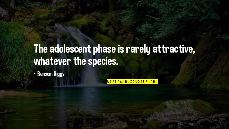 Akasaki Beef Quotes By Ransom Riggs: The adolescent phase is rarely attractive, whatever the