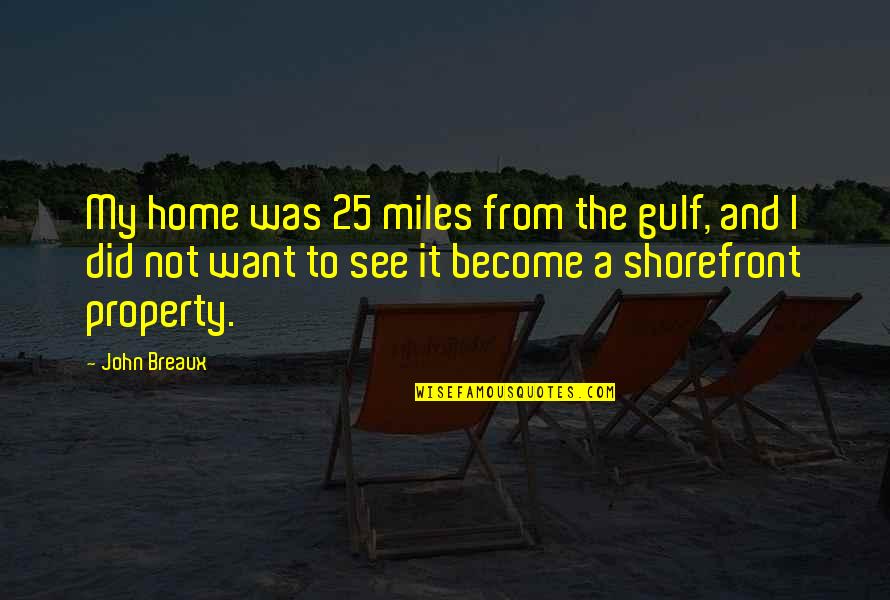 Akb48 Member Quotes By John Breaux: My home was 25 miles from the gulf,