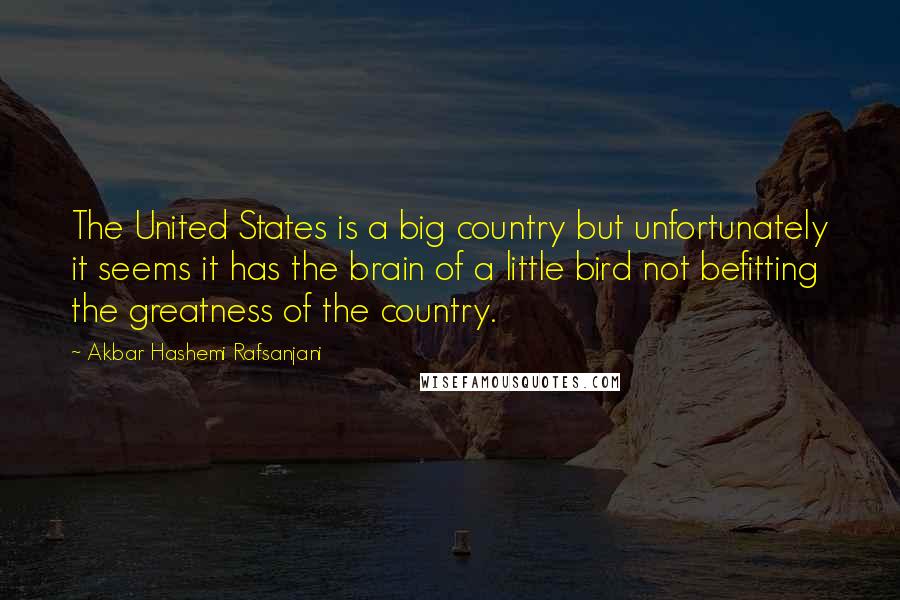 Akbar Hashemi Rafsanjani quotes: The United States is a big country but unfortunately it seems it has the brain of a little bird not befitting the greatness of the country.