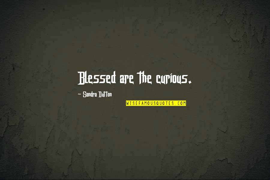 Akce Kaufland Quotes By Sandra Dutton: Blessed are the curious.