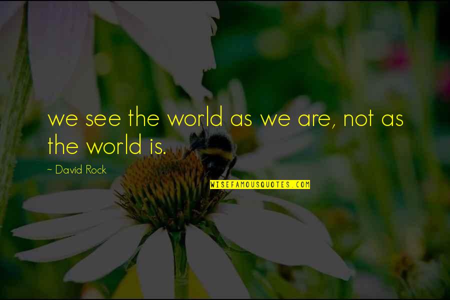 Akeelah Bee Quote Quotes By David Rock: we see the world as we are, not
