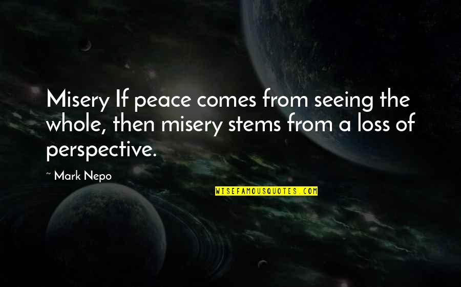 Akeelah Movie Quotes By Mark Nepo: Misery If peace comes from seeing the whole,