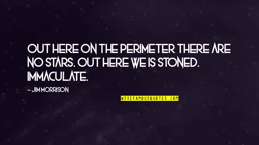 Akela Hoon Main Quotes By Jim Morrison: Out here on the perimeter there are no