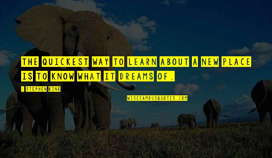 Akerbloms Quotes By Stephen King: The quickest way to learn about a new