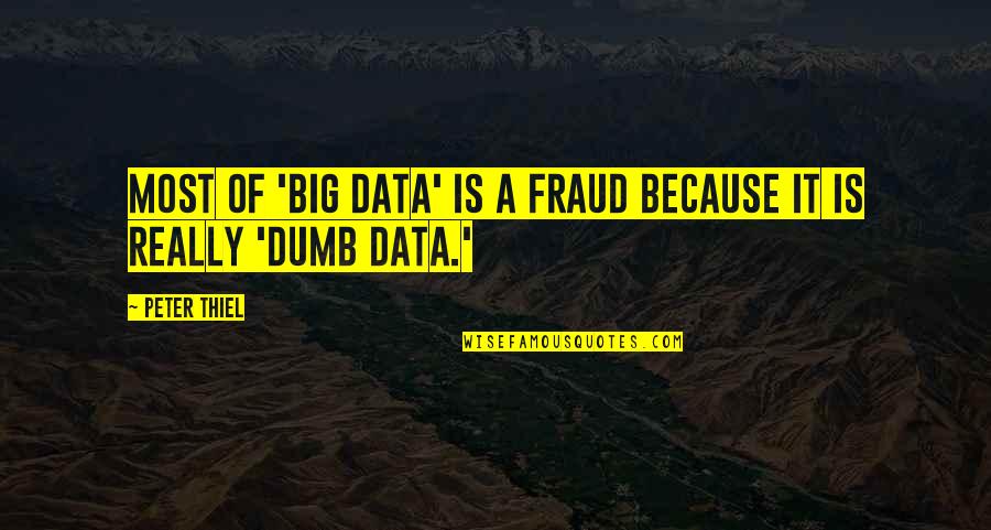 Akhmet Aktener Quotes By Peter Thiel: Most of 'big data' is a fraud because
