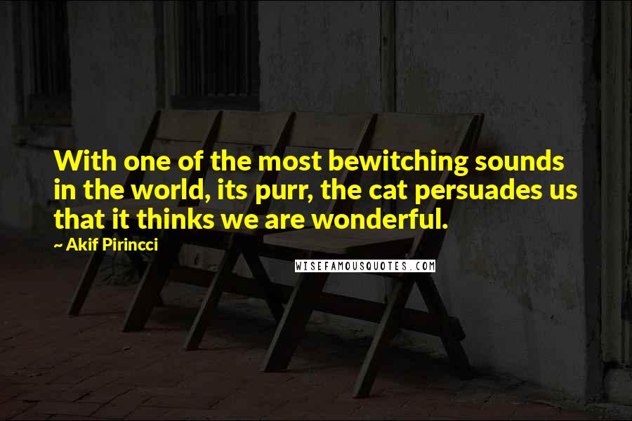 Akif Pirincci quotes: With one of the most bewitching sounds in the world, its purr, the cat persuades us that it thinks we are wonderful.