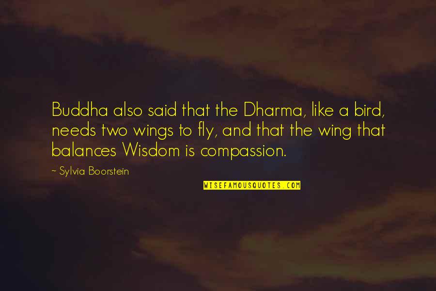 Akinderplaceld Quotes By Sylvia Boorstein: Buddha also said that the Dharma, like a Akinderplaceld Quotes By Sylvia Boorstein: Buddha also said that the Dharma, like a