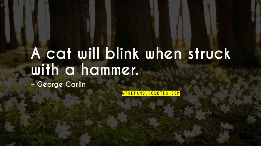 Akinori Iwamura Quotes By George Carlin: A cat will blink when struck with a