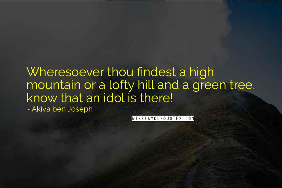 Akiva Ben Joseph quotes: Wheresoever thou findest a high mountain or a lofty hill and a green tree, know that an idol is there! Akiva Ben Joseph quotes: Wheresoever thou findest a high mountain or a lofty hill and a green tree, know that an idol is there!