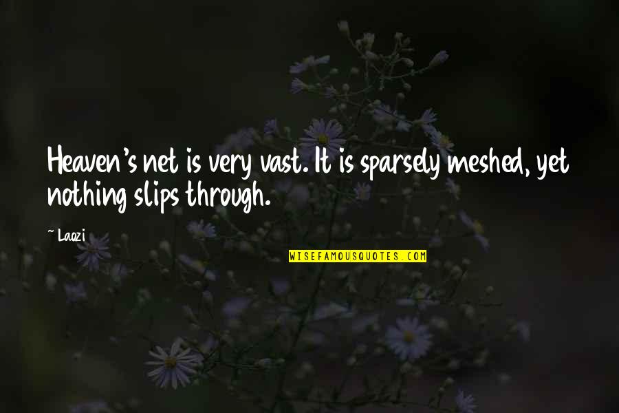 Akkad Quotes By Laozi: Heaven's net is very vast. It is sparsely