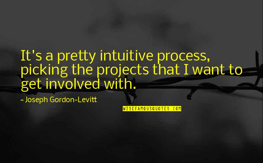 Akkerman Ink Quotes By Joseph Gordon-Levitt: It's a pretty intuitive process, picking the projects Akkerman Ink Quotes By Joseph Gordon-Levitt: It's a pretty intuitive process, picking the projects
