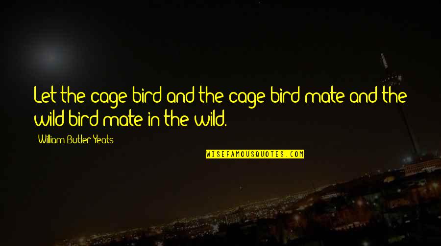 Akmens Vata Quotes By William Butler Yeats: Let the cage bird and the cage bird