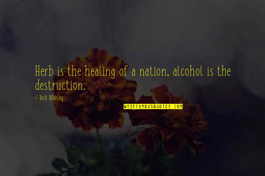 Akova Fan Quotes By Bob Marley: Herb is the healing of a nation, alcohol
