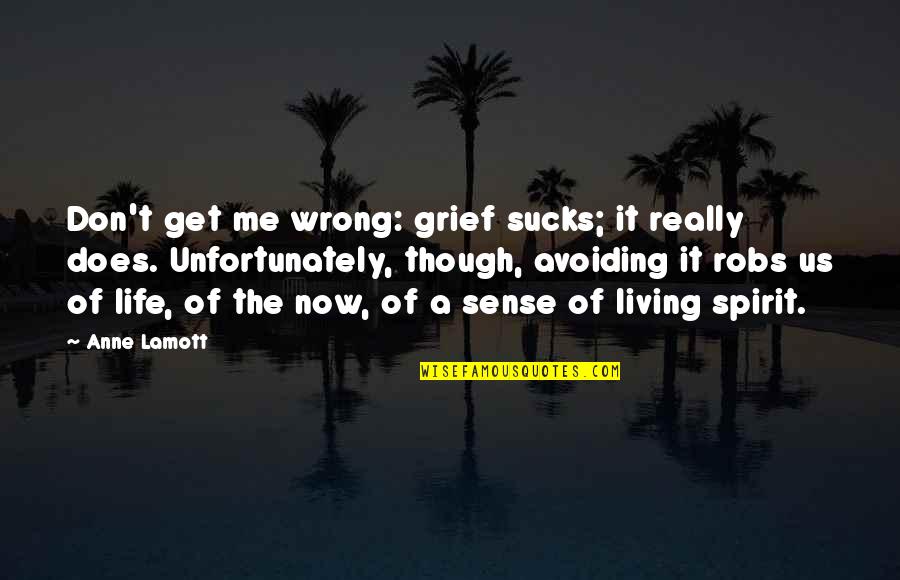 Aks Quotes By Anne Lamott: Don't get me wrong: grief sucks; it really