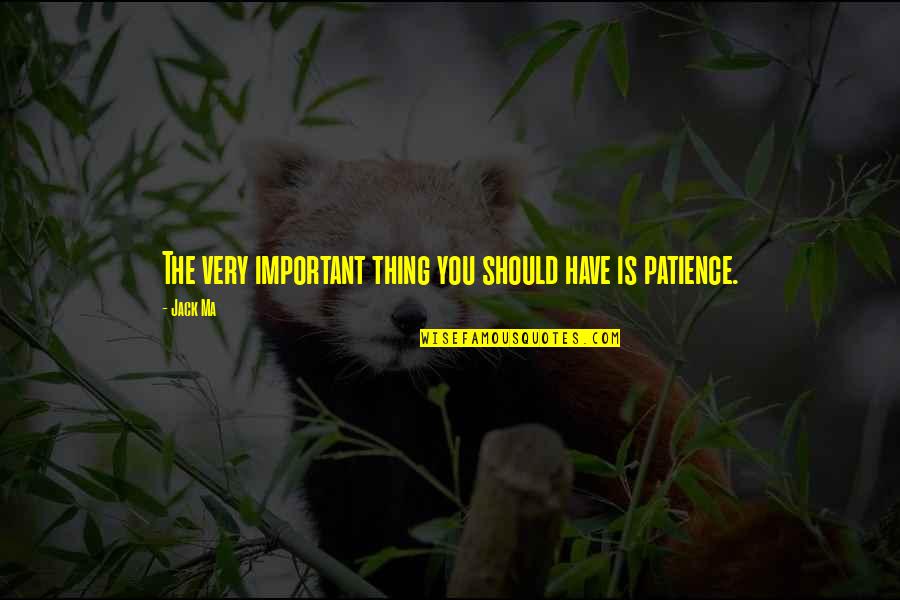 Aksam Quotes By Jack Ma: The very important thing you should have is