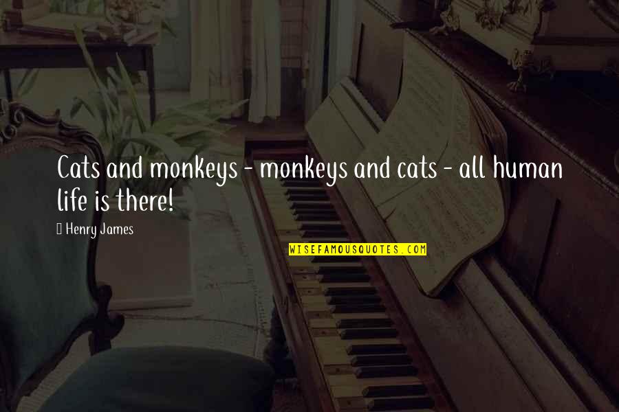Akshaya Tritiya Quotes By Henry James: Cats and monkeys - monkeys and cats -