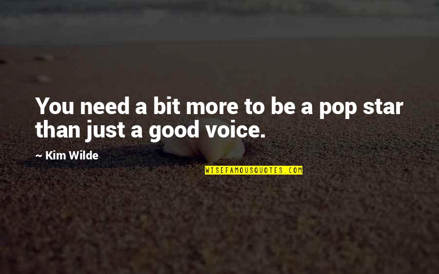 Aktivnosti Projekta Quotes By Kim Wilde: You need a bit more to be a